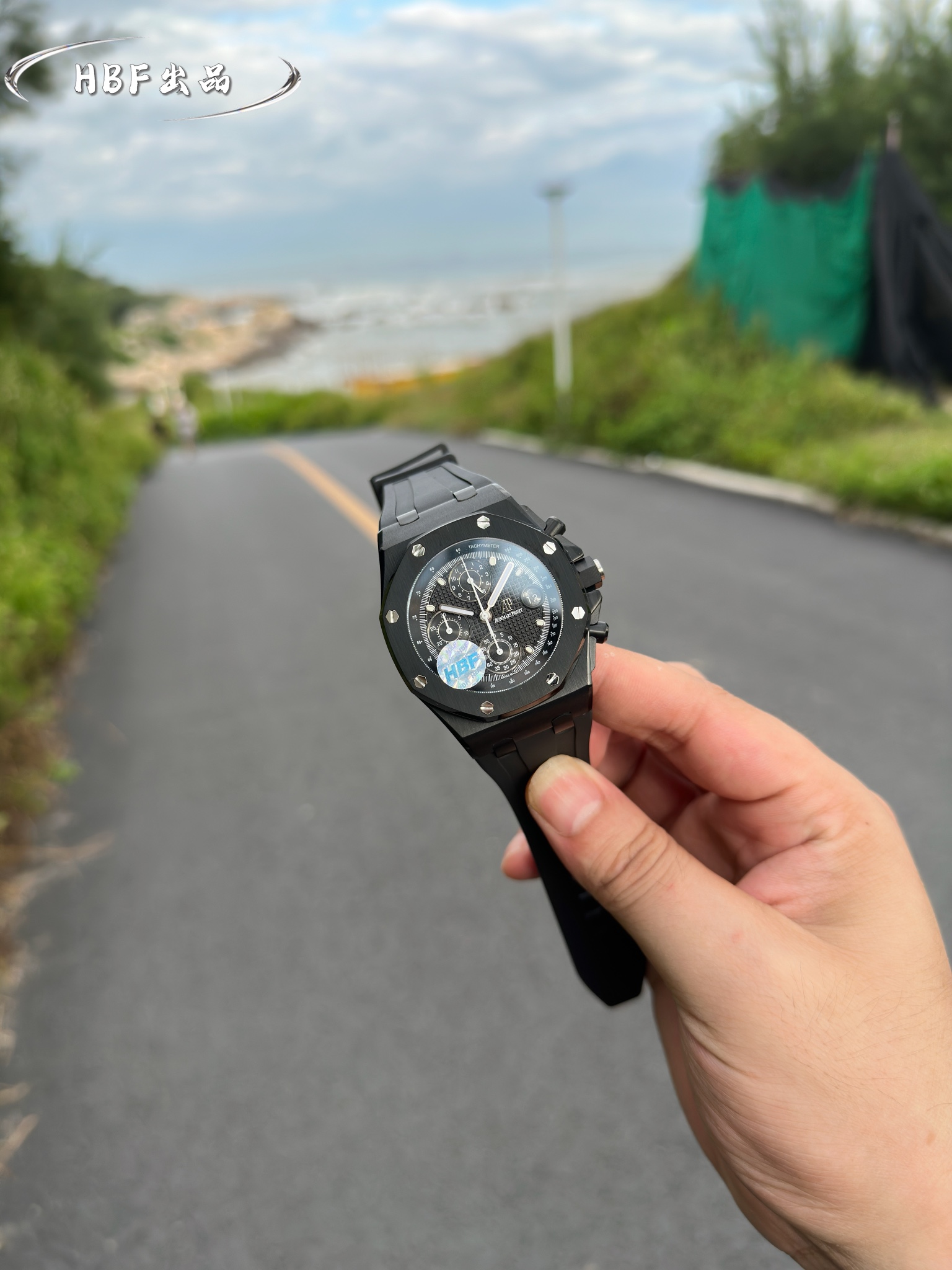 Audemars Piguet watch